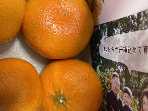 【甘みぎっっしり！】シャキシャキ甘い♪♪　甘平 （ご家庭用・２㎏）※２月上旬発送