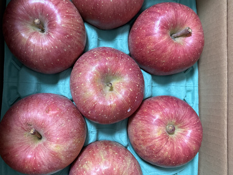【朝市限定】大玉から発送‼️とことん味にこだわりました💪😊🍎青森県産葉取らず完熟ふじ3キロ‼️