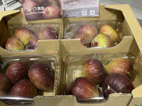 【ご家庭用】朝採りいちじく1箱