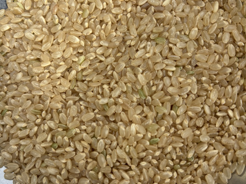 農薬不使用！お米（玄米）ご家庭用5kg