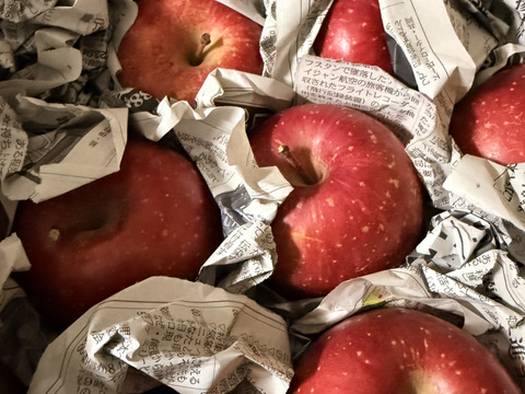 ご家庭用　サンふじ　約3kg(7個〜14個)