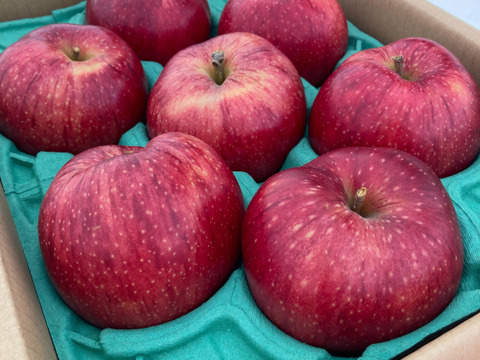 【完売】美紅（みく）お菓子作りに最適！果肉の赤いりんご 5kg（12～24玉）