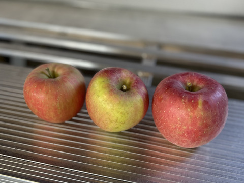 【人気品種】🍎早生ふじ約3キロ🍎8〜12玉《家庭用》ID284719