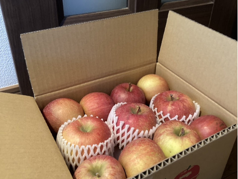 信州りんご🍎４キロパック詰め