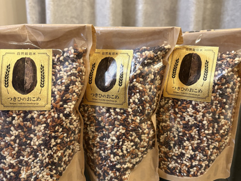 大人気！自然栽培　古代米ブレンド（大容量４５０ｇ入り×３袋)　令和７年産 ※豊作につきSALE価格にて販売中！