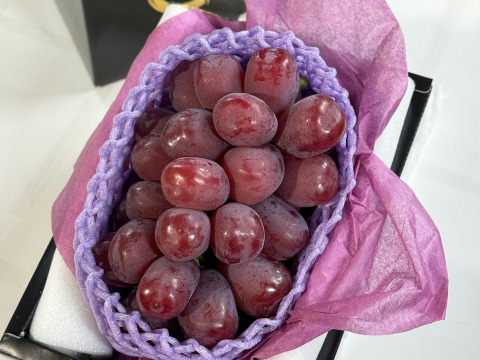 【数量限定】希少品種 大粒大房富士の輝一房詰め(約700g) 岡山県産 特秀ランク(熨斗対応可) 【夏ギフト】