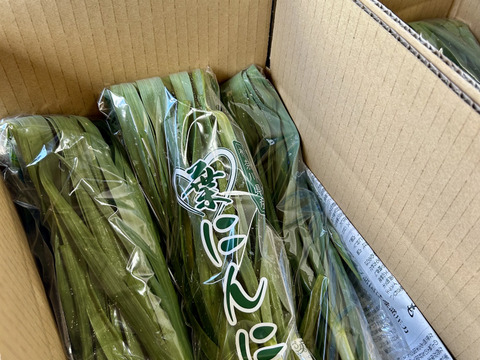 【予約増量】　料理のグレードがグッと上がる　葉ニンニク　(^^♪　　500g→525g from 名水の里　神奈川県秦野市