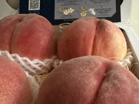 🍑日テレニノさんで話題沸騰🍑『幻のナポレオンピーチ』今回逃すと1年待ちの最高級希少桃！【夏ギフト】硬め×甘さの饗宴今までの桃の常識を覆す革命児！シャキ桃約1.5キロ【朝どれ】【贈答用】【8月上旬予約】