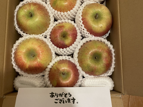【冬ギフト】 🍎レビュー数1700件突破！！《家庭用》青森完熟葉とらずふじ８〜１２玉(約３kg)🍎ID119812