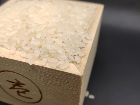 大粒もっちりあっさり✩　令和5年産特別栽培米にこまる精米　5kg