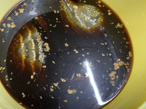 漁師直送！カンジャンケジャン！大サイズ1匹(約450g)〆たカニを使用！