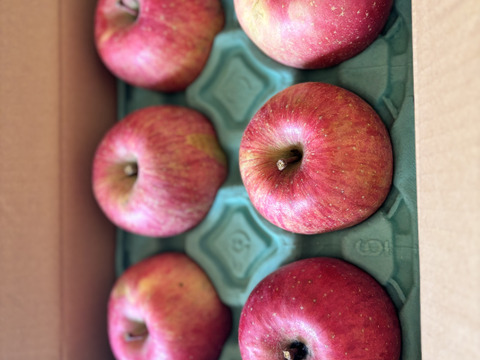 令和7年度産早期予約セール7%OFF大玉から順に発送‼️🍎青森県産完熟葉取らずふじ家庭用キズあり約3kg‼️とことん味にこだわりました😊