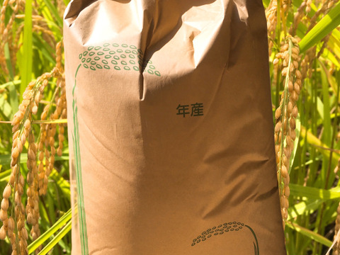 【7年度産 玄米30キロ】★季節の野菜プレゼント付★ふっくら・もちもち✴︎冷めても美味しい〜　千葉県産コシヒカリ【深田のお米】〜ホッとするお米あなたの食卓に〜