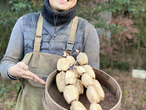 シャキシャキ蓮根2キロ＋熟成干し芋(500g)