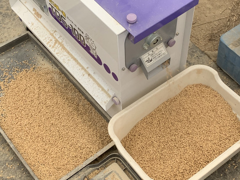 自然栽培【イセヒカリ】玄米10kg 新米(5kg×2) 令和5年度兵庫県産 農薬肥料不使用の自然栽培米