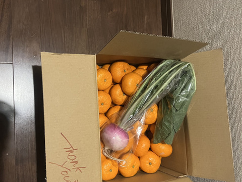 【感謝割】"完熟貯蔵”ずっしり濃いコク！青島みかん🍊箱込み5ｋｇ