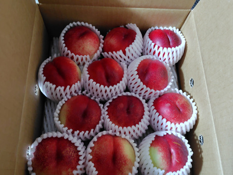 ネクもも🍑ハネージュ🍑3キロ箱　訳あり家庭用