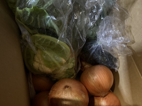 大好評，地層が違う淡路島、大玉ターザン(風袋込み４キロ)