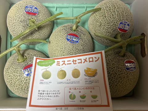 ☆訳あり赤肉メロン☆ 5〜6玉入【北海道産】8月上旬発送：北海道