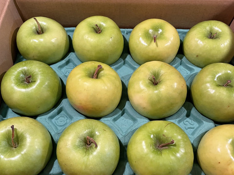 グラニースミス（約2.7㎏）特選　7～14玉
欧米で青りんごといえばこれ　アップルパイにおすすめ