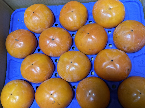 【家庭用】【富有柿】3.5kg  (10玉〜14玉)【高糖度】