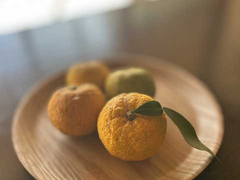 訳あり｜【期間中農薬不使用】豊田市旭産 『柚子』 2kg　※梱包込