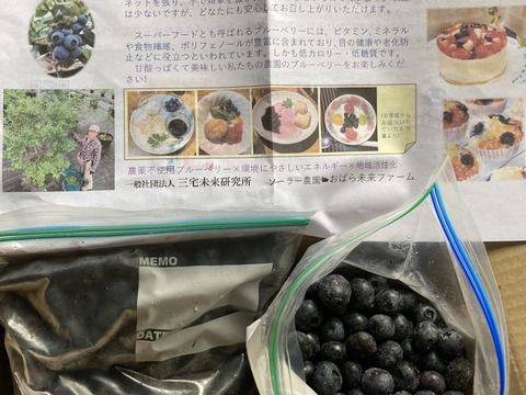 【期間限定値下げ】ジャムを作ろう！健康生活！お値打ち冷凍ブルーベリー（500g×2パック）【栽培期間中農薬不使用】