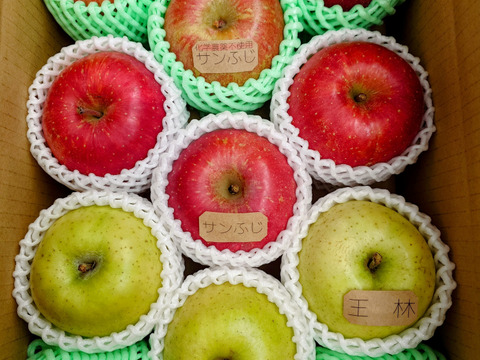 ☆農薬不使用りんご☆と特別栽培りんご(品種おまかせ)詰め合わせ3キロ（８〜１２玉）