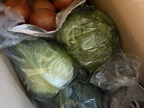 大好評，地層が違う淡路島、大玉ターザン(風袋込み5キロ)