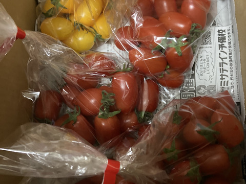 あま～いプチトマト（アイコ）がたっぷり1㎏入ります