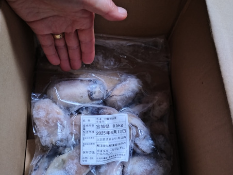 【休業日はプロフ参照】生食用 剥き身 牡蠣 500ｇ×３本 カキ 牡蛎 むき身 松島牡蠣屋 牡蠣鍋に カキ 牡蠣 カキフライ 牡蠣のアヒージョ 生牡蠣 🔥10％OFF中‼️❄️重要 急速冷凍で出荷🚚 500g 🦪生食用