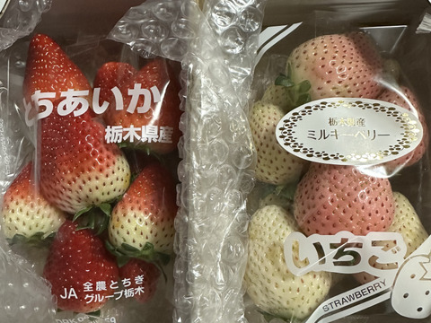 白いイチゴ🍓ミルキーベリー+とちあいか🍓 二段詰270g各1パック