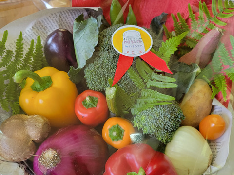 🍅🥒京野菜ブーケ💐【大切な方へ◎野菜セット】