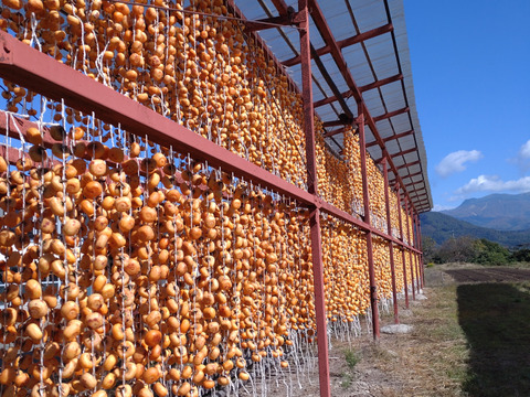 紅干し柿　まるで和菓子！２パック（１パック当り180ｇ）