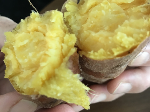 大人気今年の新芋再販売！有機栽培サツマイモ　【安納芋】　３㎏　
限定１０名様