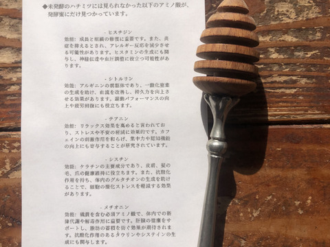 【令和7年１月大雪被害200円寄付】日本蜜蜂の非加熱の生ハチミツ　【発酵蜜/100g】【天然】日本ミツバチ　ニホンミツバチ