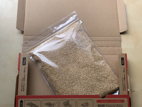 自然栽培【ヒノヒカリ】玄米900g[農薬肥料不使用の自然栽培米]新米。ポスト投函のクリックポストでお届けの為、他商品との同梱はできません。ポスト投函ですので日時指定もできませんのでご注意お願い致します