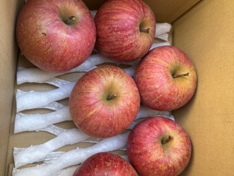 蜜入りも!! りんご 家庭用★サンふじ 約5キロ (10〜20玉) ★農薬節減りんご 訳あり ご自宅用