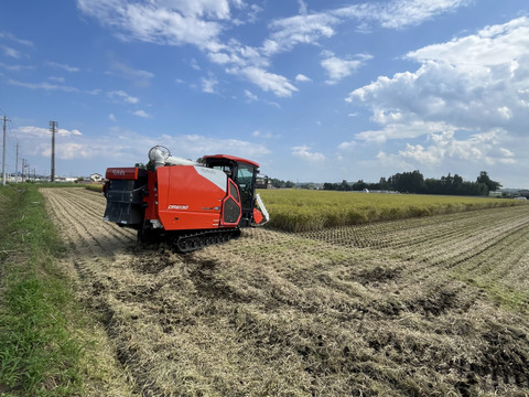 【食卓に笑顔を】令和７年つきあかり白米５ｋｇ
