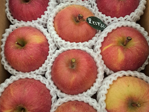 ★★新春セール★★【冬ギフト】 🍎レビュー数1800件突破！！《家庭用》青森完熟葉とらずふじ８〜１２玉(約３kg)🍎ID119812