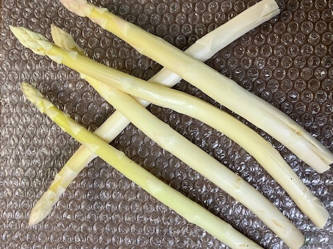 訳アリ＆限定！！　～規格外～　静岡育ち　ホワイトアスパラガス　L～３Lサイズ混合＆規格外品　1kg