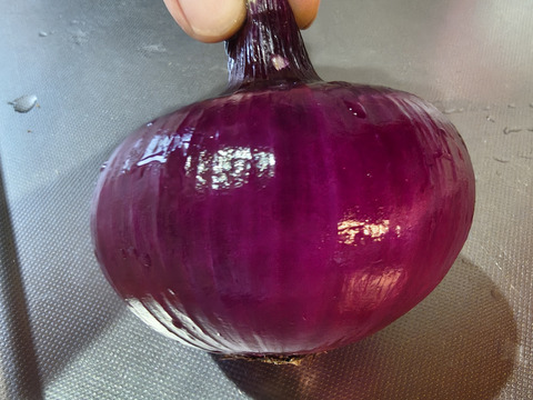 農園自慢の赤玉ねぎ　4.5ｋｇ　パチャママ農園 たまねぎ