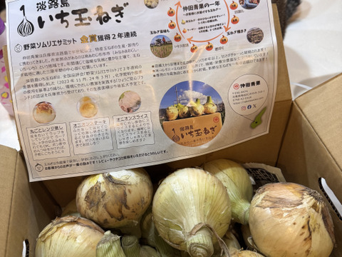 【祝!3年連続金賞🏆】淡路島新玉ねぎ5kg
