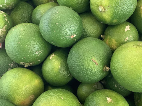 【栽培期間中農薬不使用！】訳ありすだち3kg