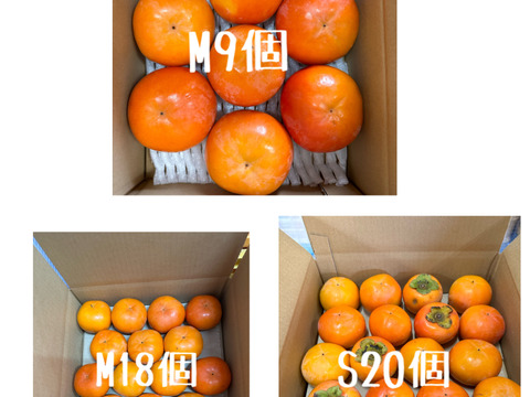 和歌山県産　富有柿（家庭用）SMサイズ18〜20個　※贈答用には向きません