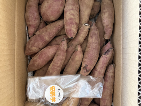 欲しかった❣️チビッコさつまいも🍠(紅はるか3kg)