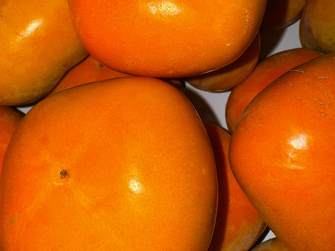 【秋の味覚】和歌山県産　たね無し柿(刀根早生)　訳ありM~2Lサイズ　5kg。【500円割引】