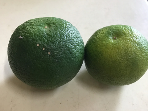 黄色完熟訳ありすだち１キロ(傷、黄色くなりました。)