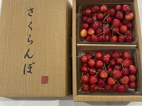 さくらんぼ ❋紅てまり 3Lサイズ 1kg ◎限定1箱 さくらんぼ ❋紅てまり 3Lサイズ 1kg ◎限定1箱