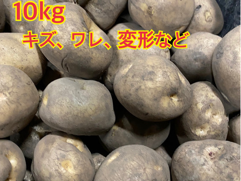 越冬キタアカリ10kg 訳あり 2025年収穫！糖度UP